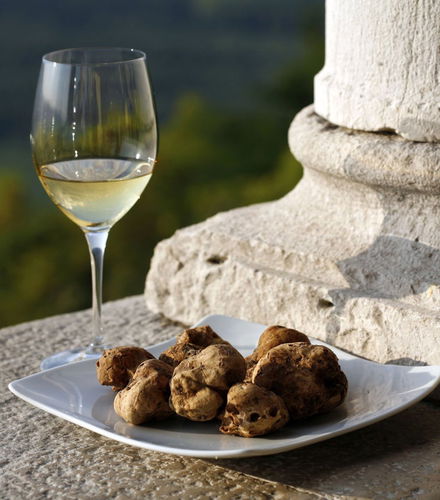 Foto de Tour gastronómico por Istria