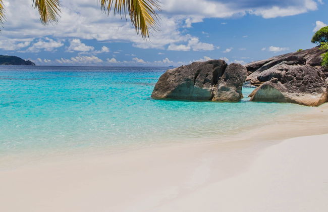 Similan Islands Snorkelling Tour - Photo 3