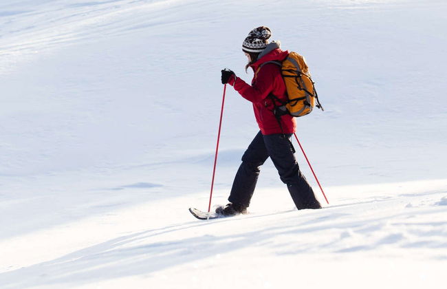 Passeio com raquetes de neve pelo Parque Nacional Pyhä-Luosto - Foto 6