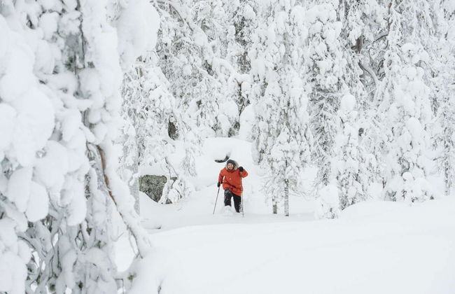 Passeio com raquetes de neve pelo Parque Nacional Pyhä-Luosto - Foto 3