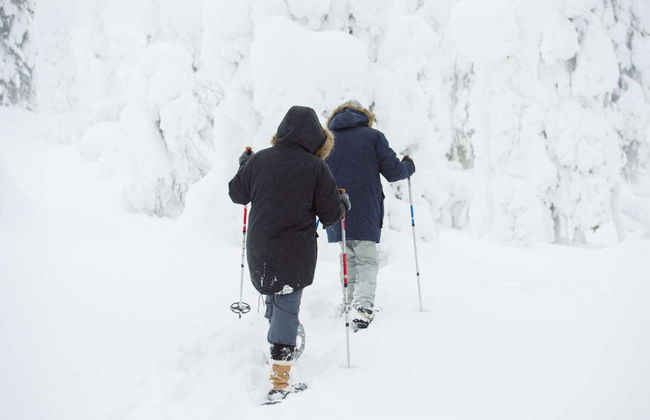 Passeio com raquetes de neve pelo Parque Nacional Pyhä-Luosto - Foto 2