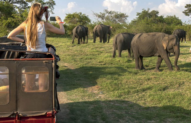 Safári privado pelo Parque Nacional de Minneriya - Foto 3