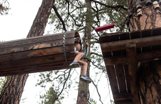 Flagstaff Ziplining Experience - Photo 2