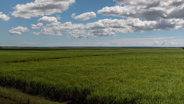 Campi di canna da zucchero e Higüey + Giro in barca sul fiume Chavón - Foto 2