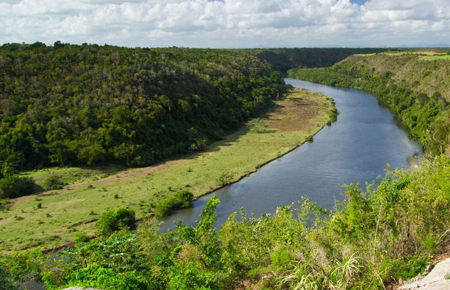 Sugar Field Buggy or Quad Bike Tour - Photo 7