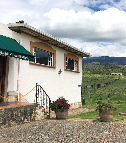Foto de Visita al viñedo Marqués de Villa de Leyva
