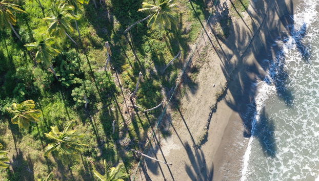 Balade à cheval dans Ixtapa Zihuatanejo - Photo 5