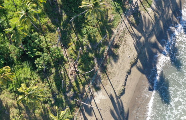 Ixtapa Zihuatanejo Horse Riding - Foto 5