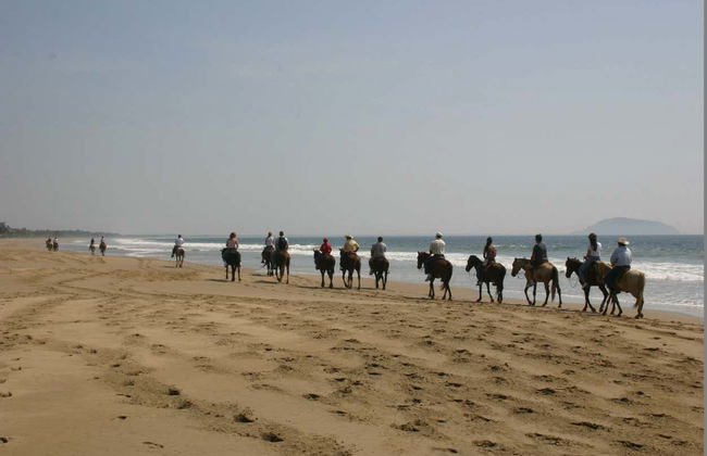 Paseo a caballo por Ixtapa Zihuatanejo - Foto 4