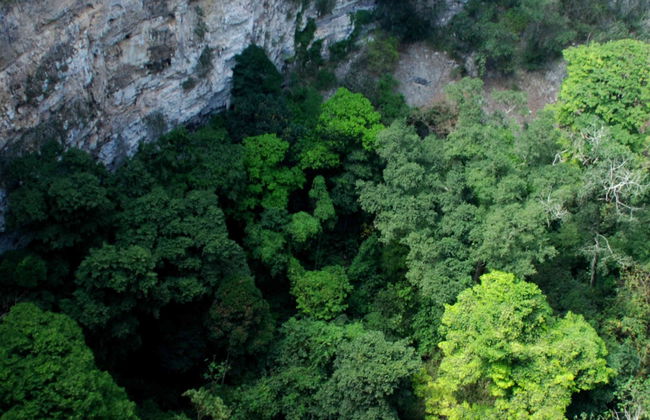 Excursión a la sima de las Cotorras y cascada El Aguacero - Foto 4