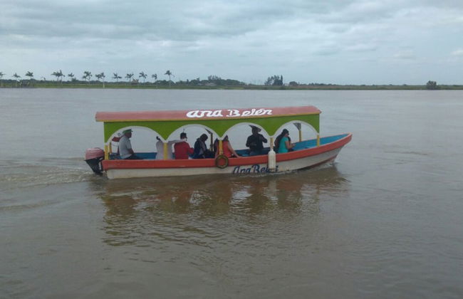 Day Trip to Alvarado & Tlacotalpan - Foto 3