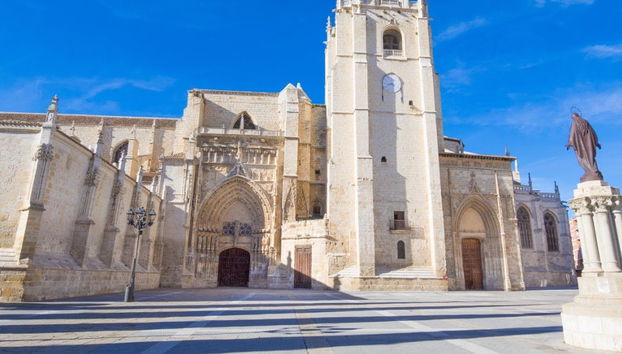 Visite guidée de la cathédrale de Palencia - Photo 4