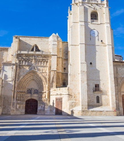 Foto de Visita guiada por la catedral de Palencia