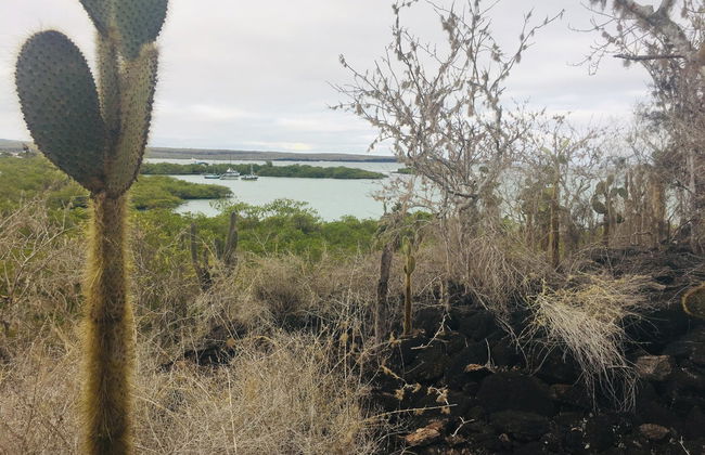 Excursión a Las Grietas y playa de los Alemanes - Foto 5