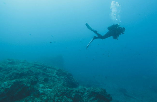 Batismo de mergulho em Cambrils - Foto 3