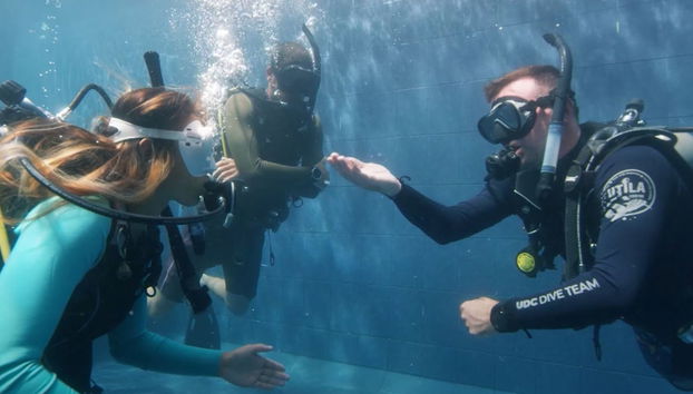 Curso de mergulho PADI Open Water - Foto 3