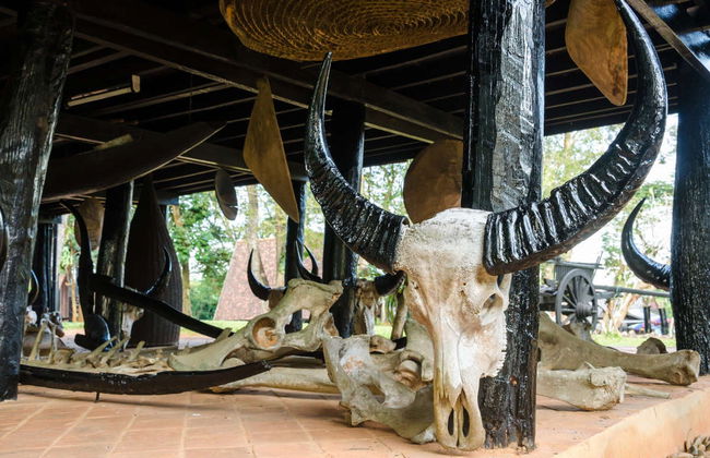 Chiang Rai Motorbike Hire - Photo 4