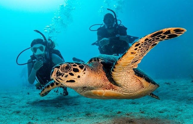 Curso de mergulho PADI Open Water - Foto 4