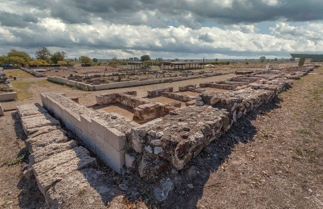 Excursion à Pella et Vergina - Photo 3