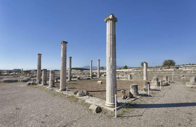 Excursion à Pella et Vergina - Photo 1