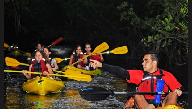 Foresta nazionale El Yunque + Baie bioluminescenti - Foto 5
