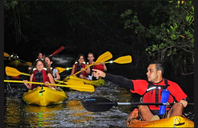 Bosque Nacional El Yunque + Bahías bioluminiscentes - Foto 5