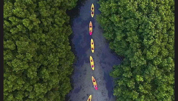 Foresta nazionale El Yunque + Baie bioluminescenti - Foto 4