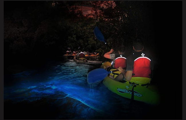 Bosque Nacional El Yunque + Bahías bioluminiscentes - Foto 2