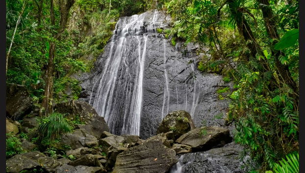 Foresta nazionale El Yunque + Baie bioluminescenti - Foto 2