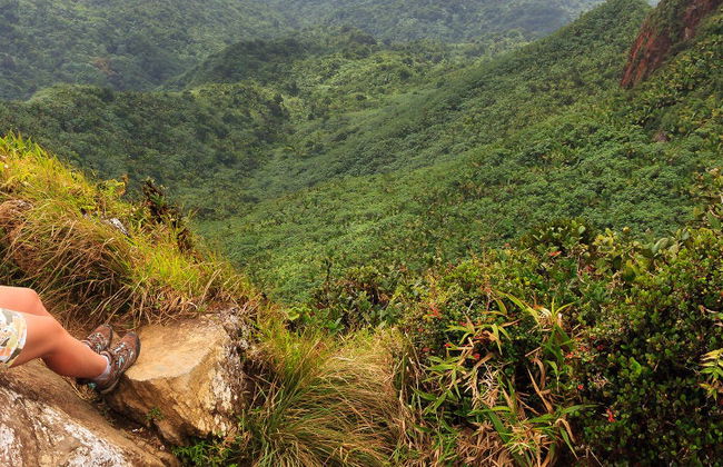 Bosque Nacional El Yunque + Bahías bioluminiscentes - Foto 3