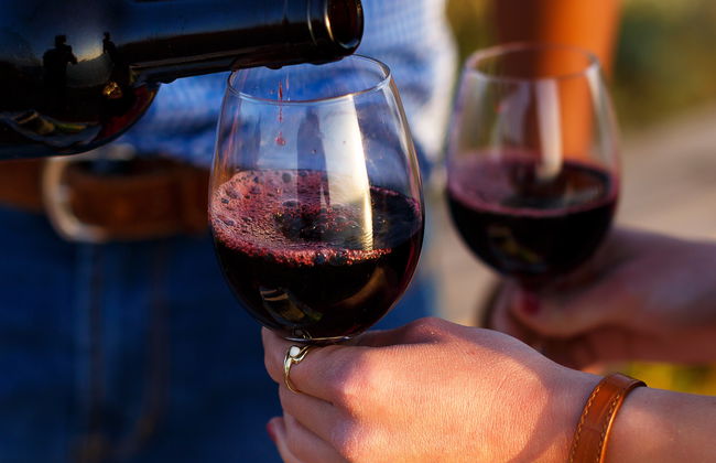 Cata de vinos y quesos en el valle del Ródano - Foto 5