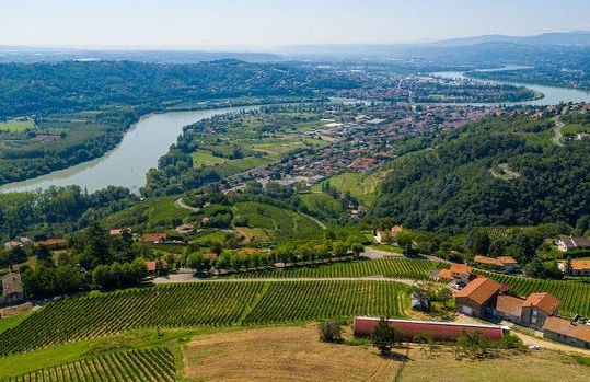 Cata de vinos y quesos en el valle del Ródano - Foto 4