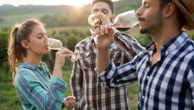 Cómpeta Day Trip + Wine Tasting - Foto 2