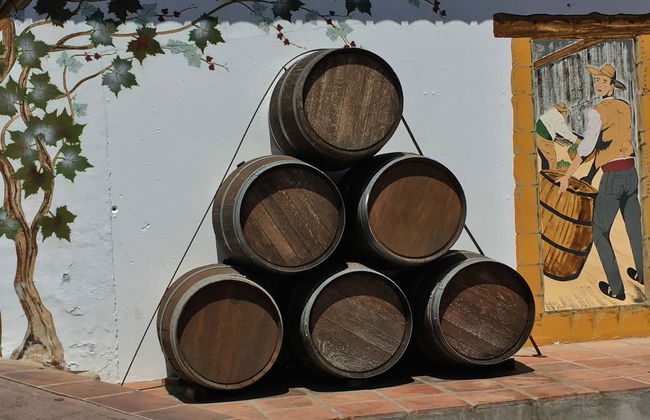 Excursion à Torrox, Cómpeta et Sayalonga avec dégustation de vins - Photo 2