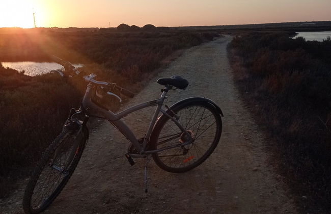 Tour en bicicleta por las marismas del Odiel - Foto 3