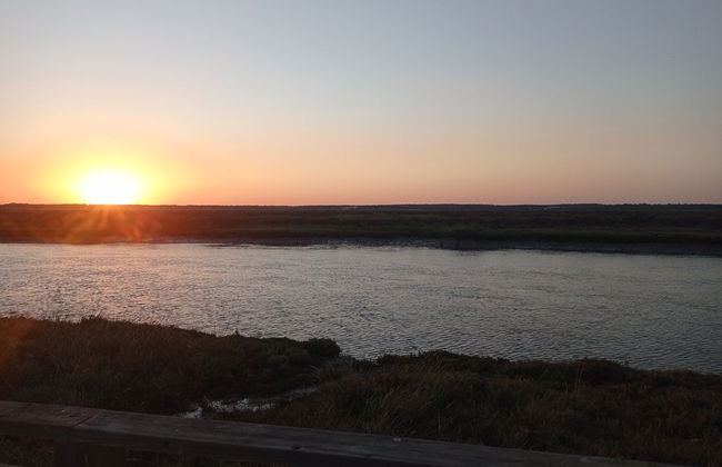 Tour en bicicleta por las marismas del Odiel - Foto 4
