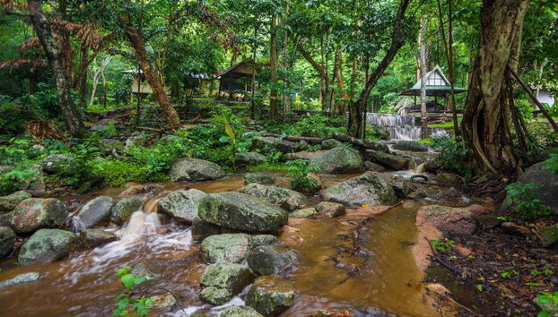 Tambopata Photography 8 Day Trip - Foto 2