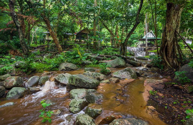 Tambopata Photography 8 Day Trip - Foto 2