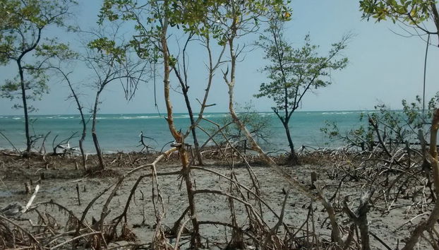 Jericoacoara Private 4x4 Tour - Foto 5