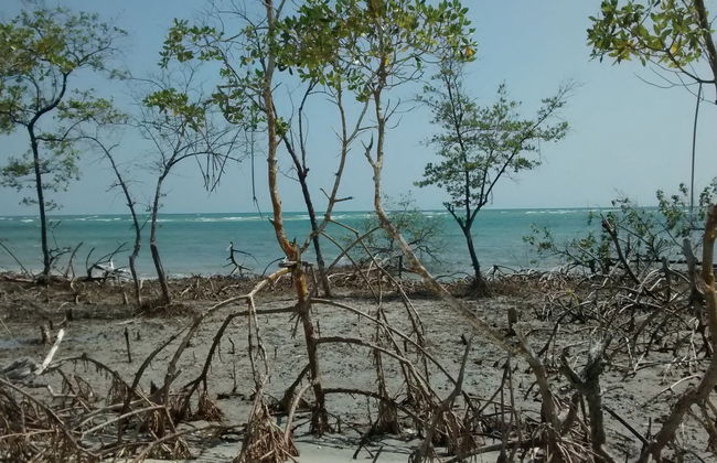 Jericoacoara Private 4x4 Tour - Foto 5