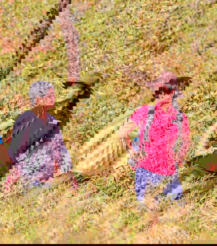 Foto de Senderismo por el Uluru