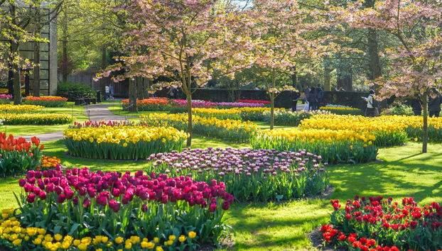 Ingresso do Keukenhof - Foto 2