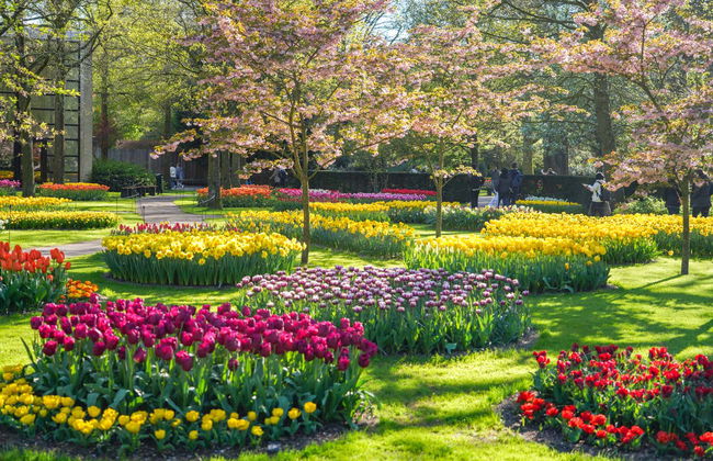 Biglietti per Keukenhof - Foto 9