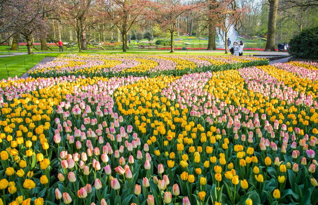 Biglietti per Keukenhof - Foto 7