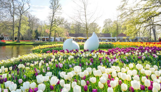 Ingresso do Keukenhof - Foto 4