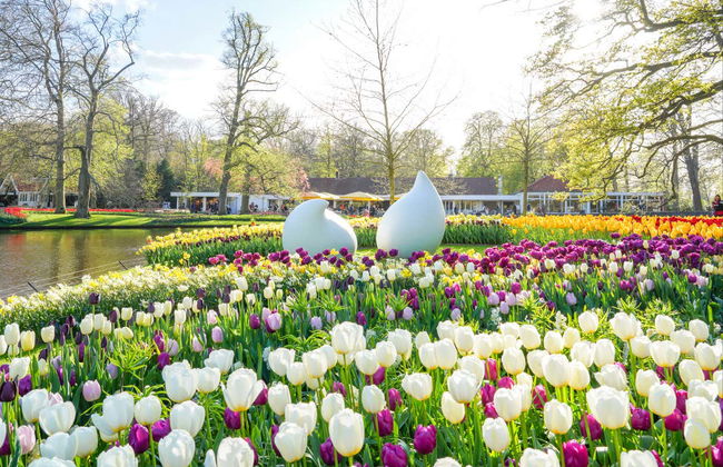 Biglietti per Keukenhof - Foto 11