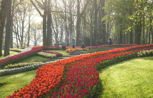 Biglietti per Keukenhof - Foto 5