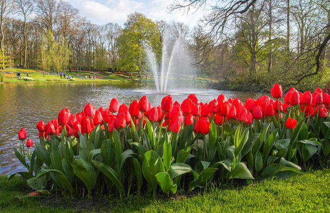 Biglietti per Keukenhof - Foto 3