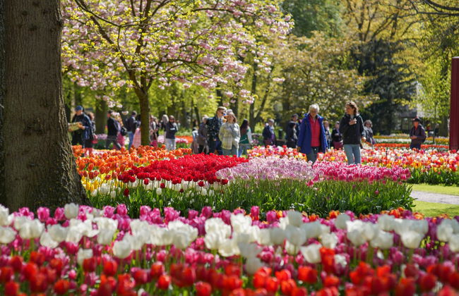 Biglietti per Keukenhof - Foto 2