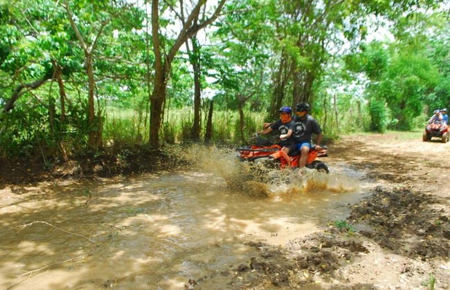 Balade en quad dans les champs de canne à sucre - Photo 3